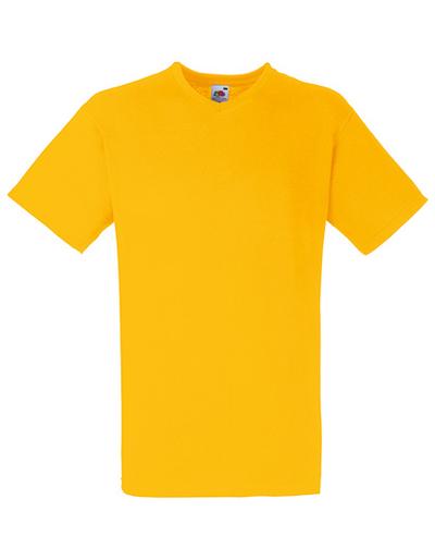 Valueweight V-Neck T