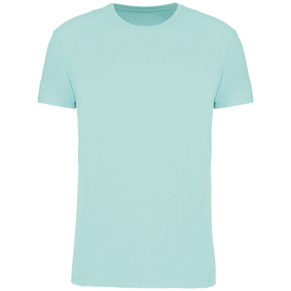 couleur Ice Mint