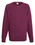 couleur Burgundy