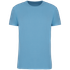 couleur Cloudy Blue Heather