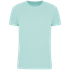 couleur Ice Mint