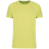 couleur Lemon Yellow