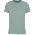 couleur Sage