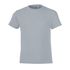 couleur Gris pur