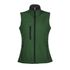 couleur Vert bouteille