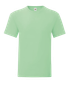couleur Neo mint