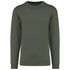 couleur Caper Green