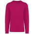 couleur Fuchsia