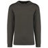 couleur Green Olive