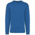 couleur Light Royal Blue