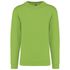 couleur Lime