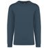 couleur Orion Blue