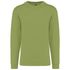couleur Pistachio