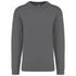 couleur Storm Grey