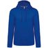 couleur Light Royal Blue