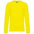 couleur Fluorescent Yellow