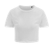 couleur Solid White