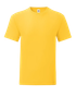 couleur Sunflower